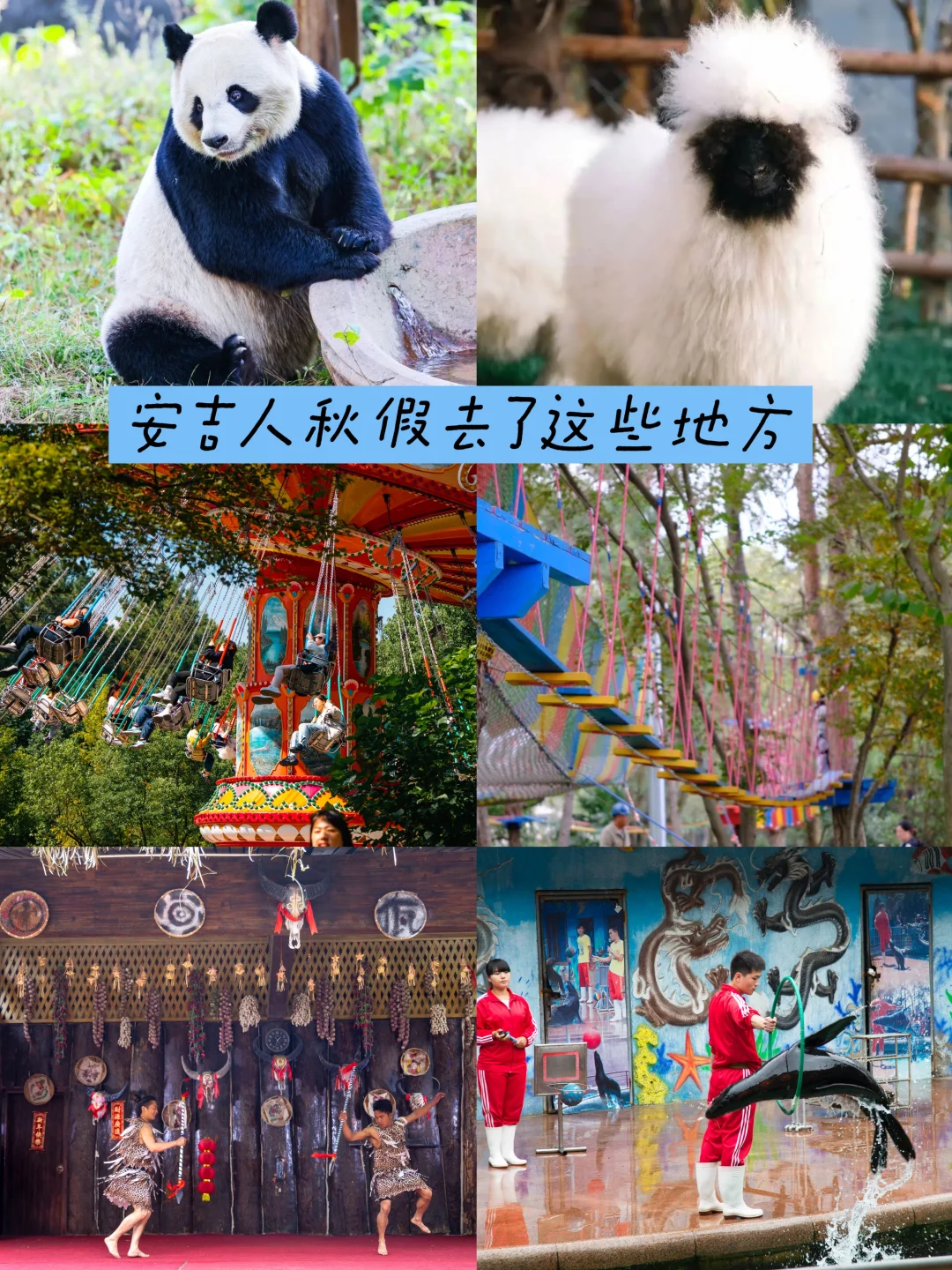 推荐5个景点｜安吉人秋假去了这些地方