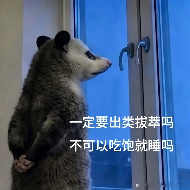 6&7月📷
去绿博园瞎溜达 看到了天鹅 有小朋友在喂它们吃馒头吃得贼香
端午节回家带我妈看了电影 吃了我妈做的手擀面太好吃[馋嘴]
学网上吐司抹黑芝麻酱再夹上香蕉空气炸锅搞下真的好吃[点赞]
皮爷确实好喝 喝过五六次但自己没买过一次[笑cry]  要么同事请的要么出差领导买的能报销 感觉太贵了
帮一个 ​