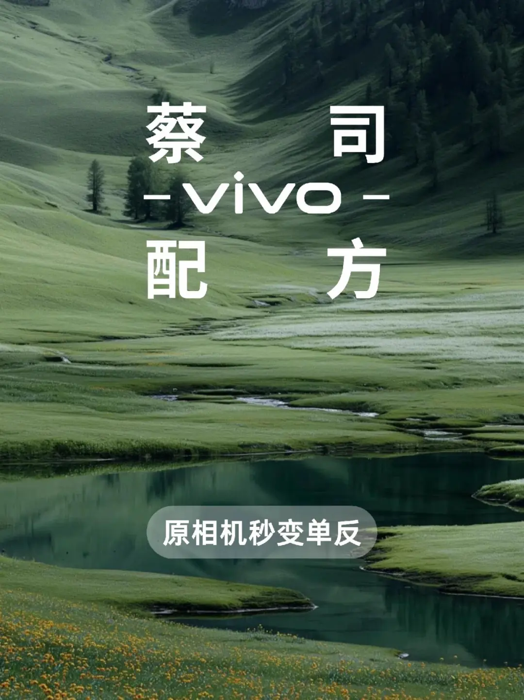 原相机秒变单反！vivo手机拍照的万能公式