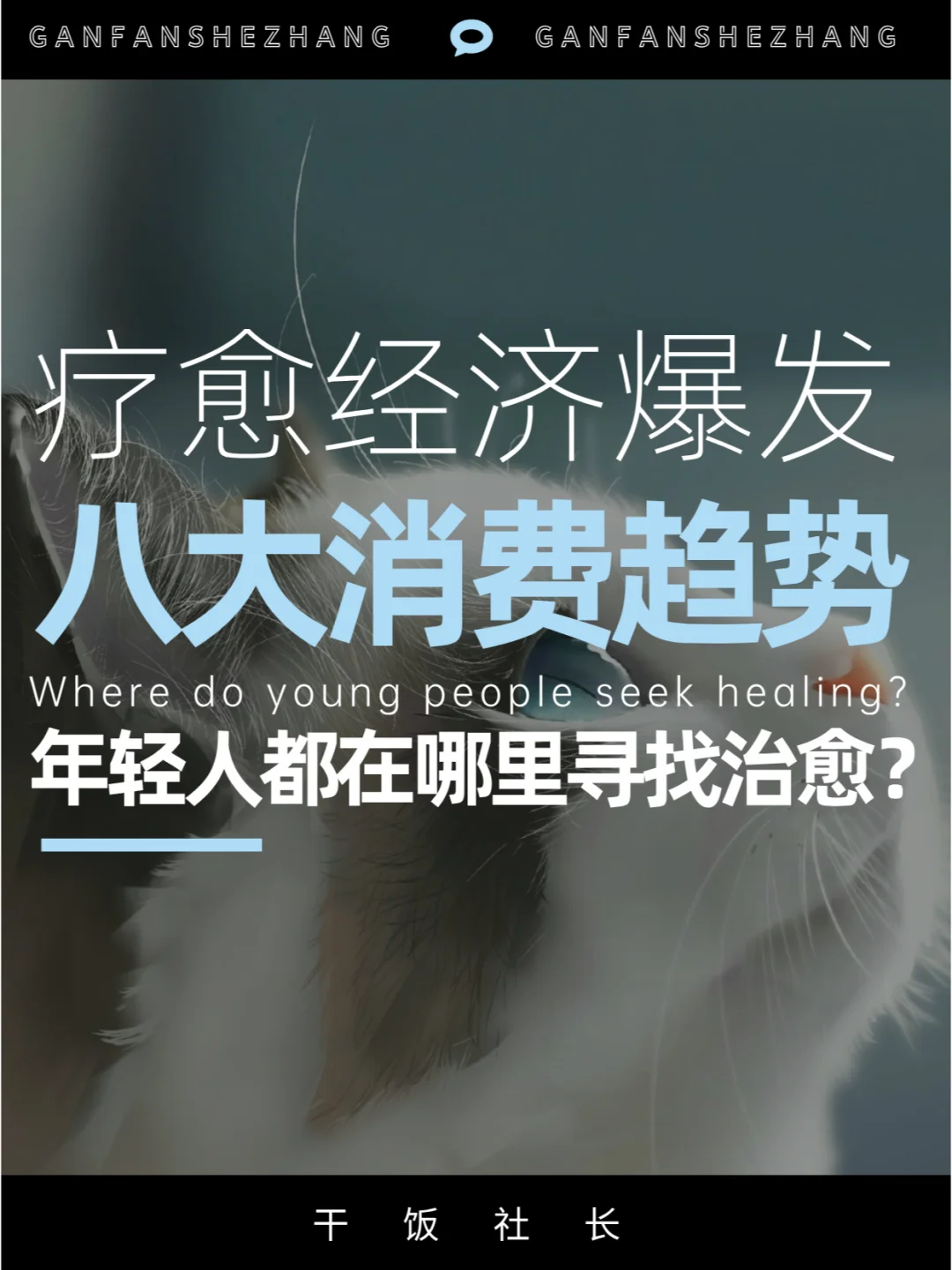 年轻人都在哪里寻找治愈？2025八大疗愈趋势