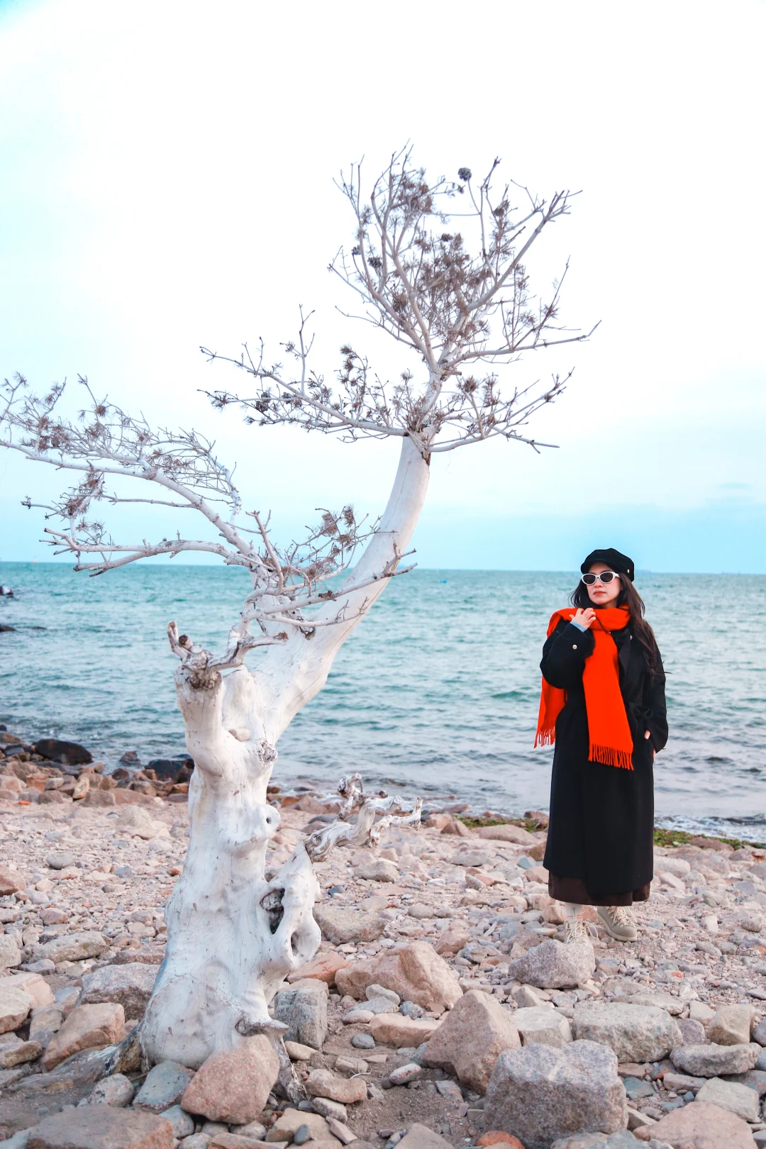 青岛海枯石烂的海风真的像在下🔪