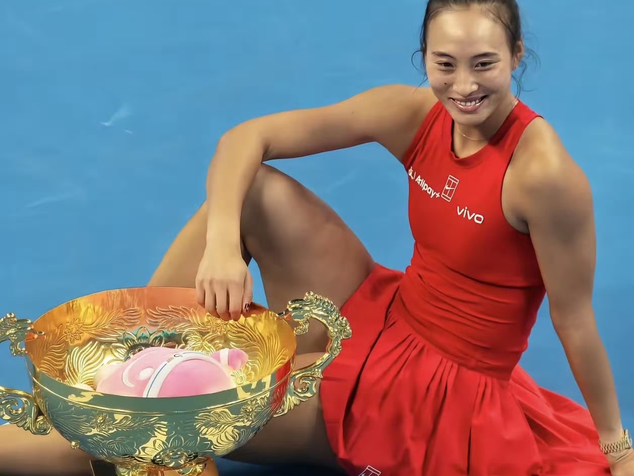 郑钦文对阵当今世界排名前10战绩如下：
🇰🇿 莱巴金娜（1胜5负，胜率16.