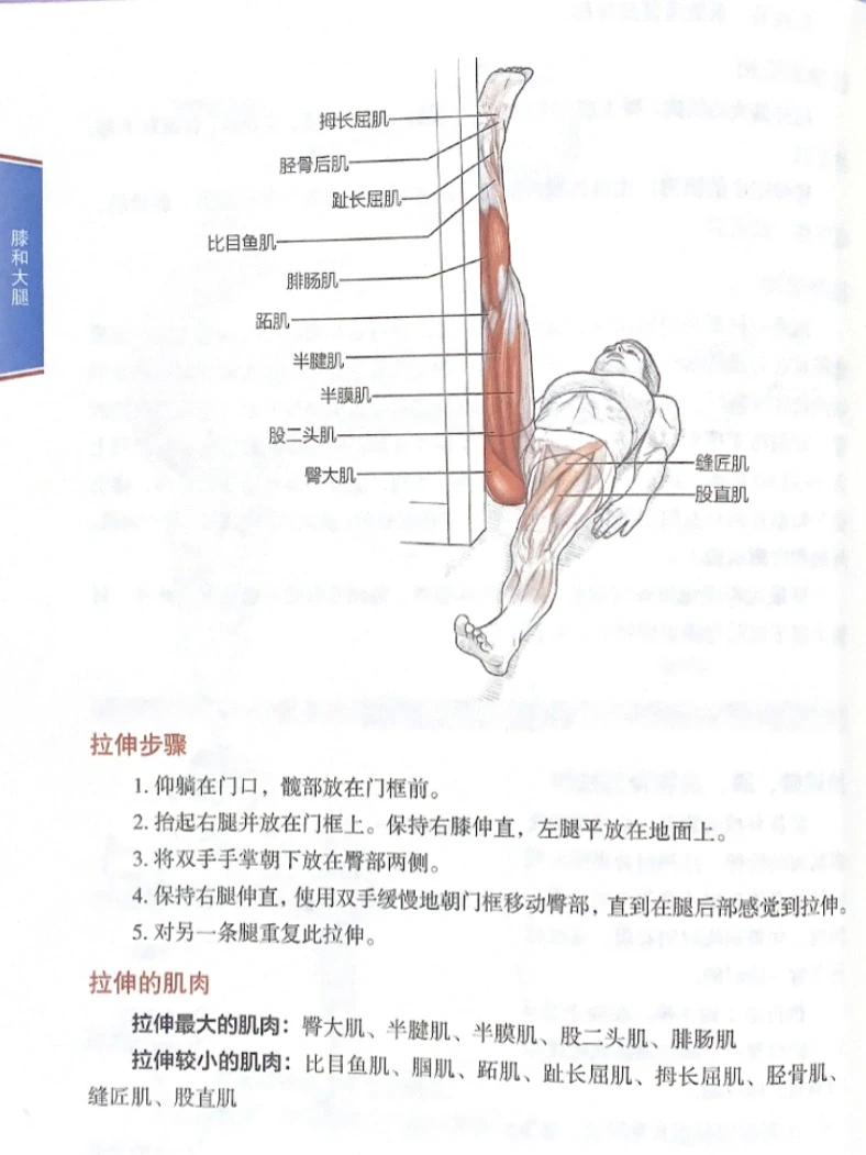 躺着也能拉伸大腿，还可以玩手机