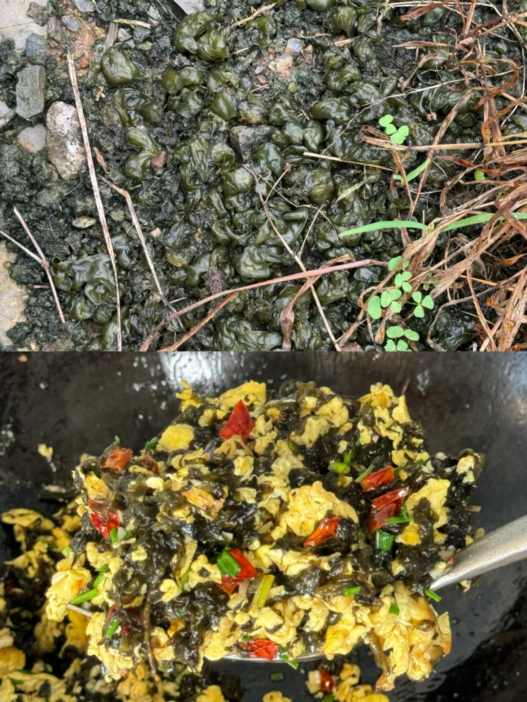 梅雨季节大自然赐予的美食