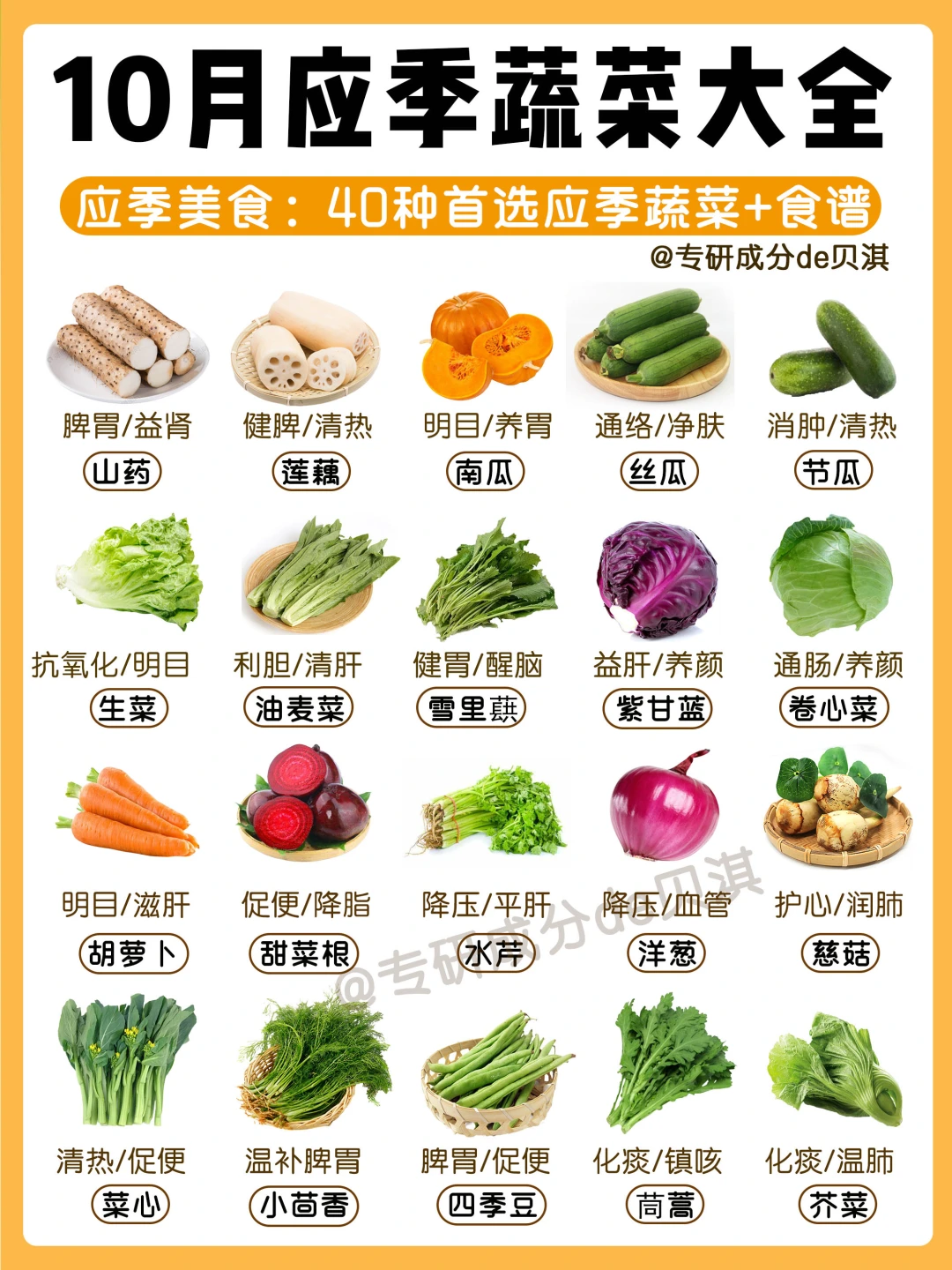 10月应季蔬菜👆🏻附秋季营养美味家常菜食谱