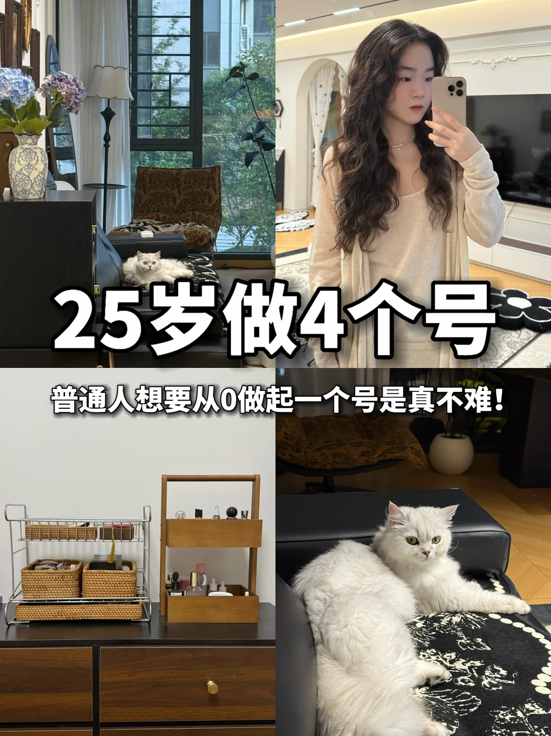 25岁做4个号｜普通人从0做号真的不难！