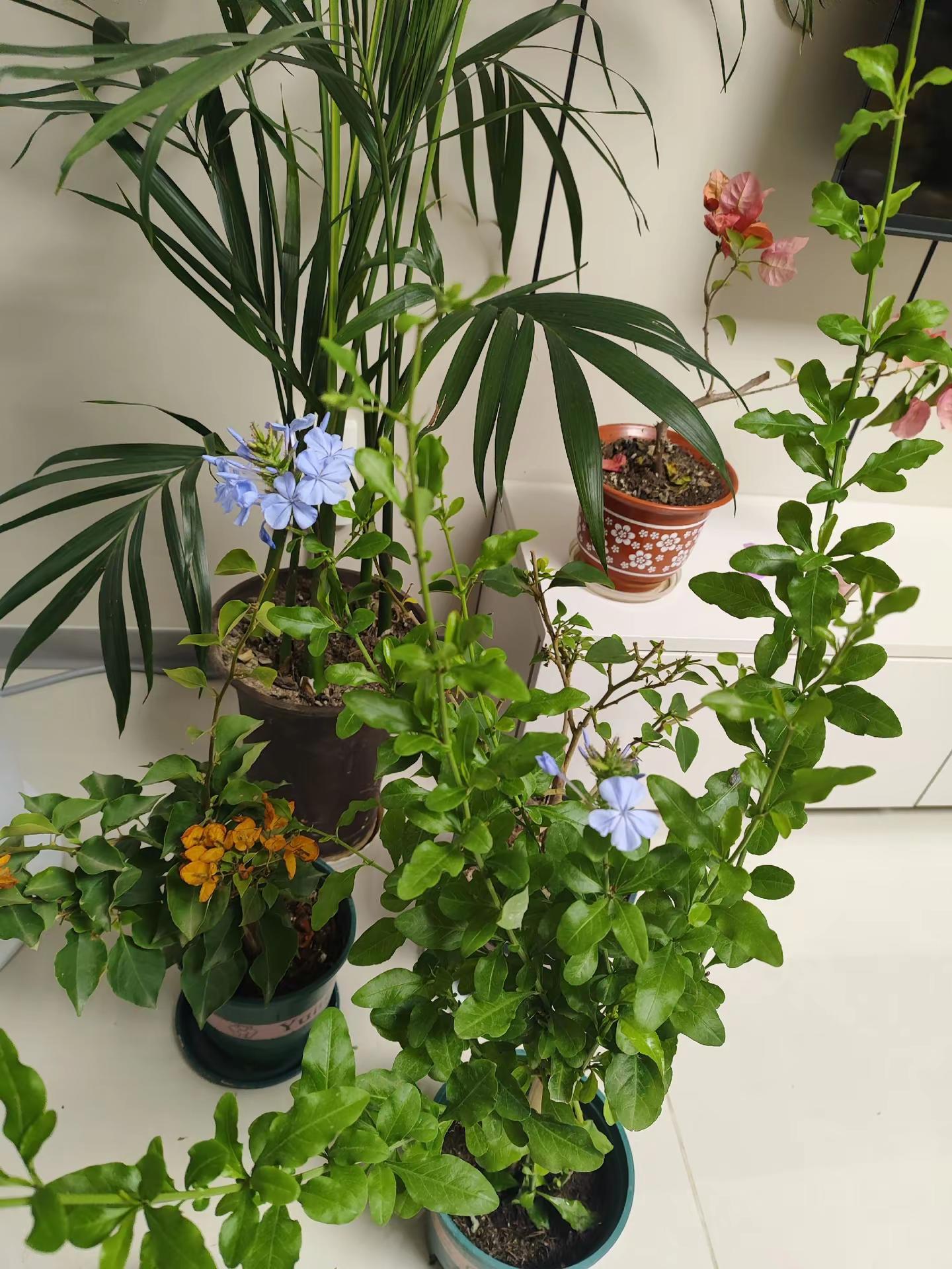 当你把人性看透，你就会喜欢独处，不愿意掺和无用社交，更不会讨好任何人