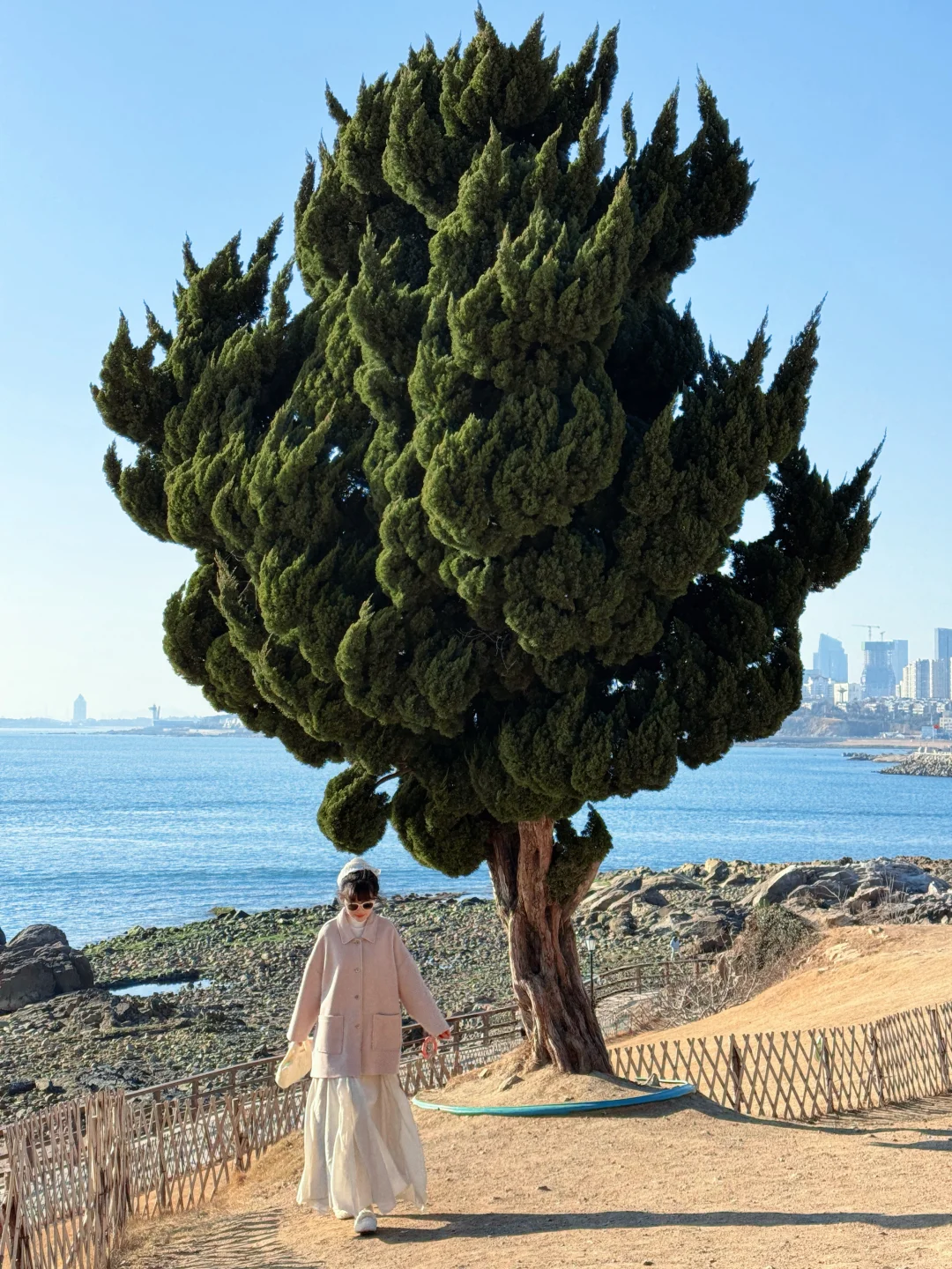 📍青岛特种兵一日游攻略！打卡🔟个热门景点