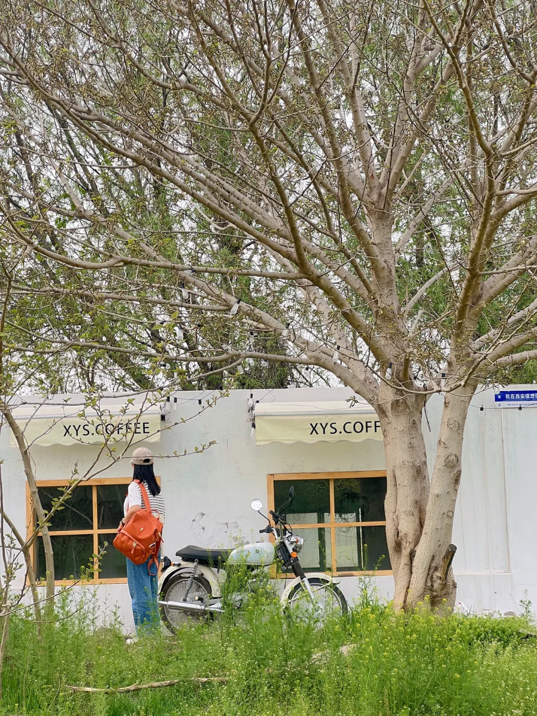 这真是西安❗️北郊3处隐秘拍照地很少人知道