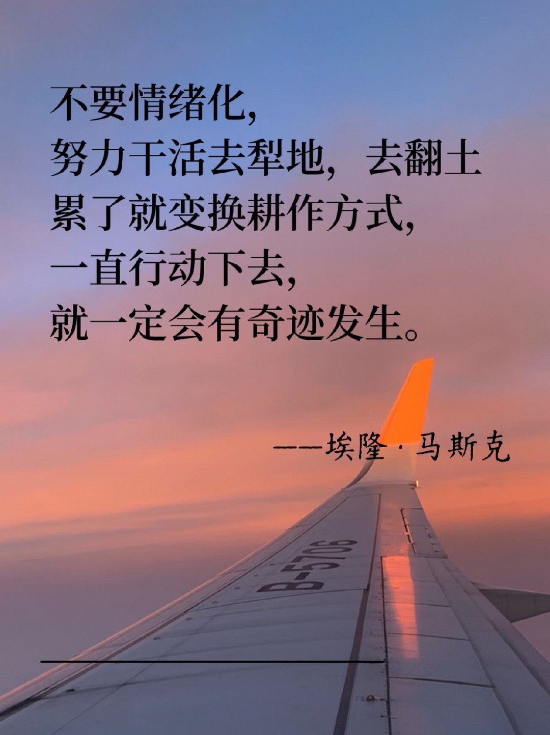 分享图片 ​