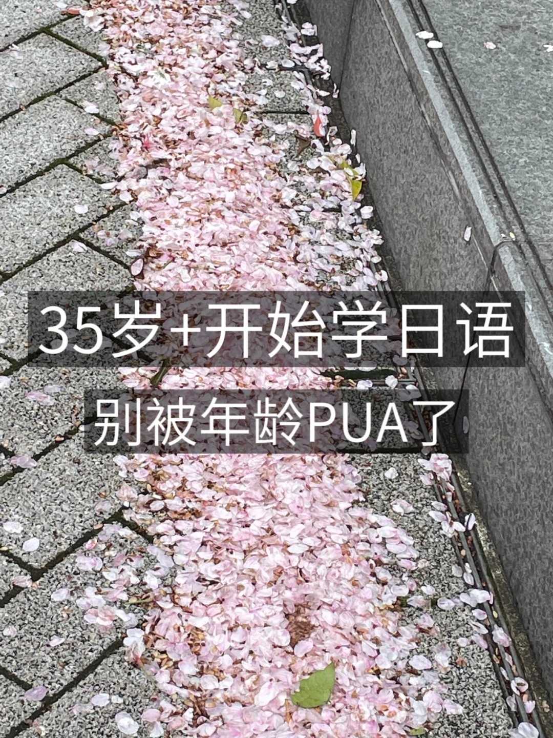 35岁+留学✈️年龄影响找工作但不影响学习啊