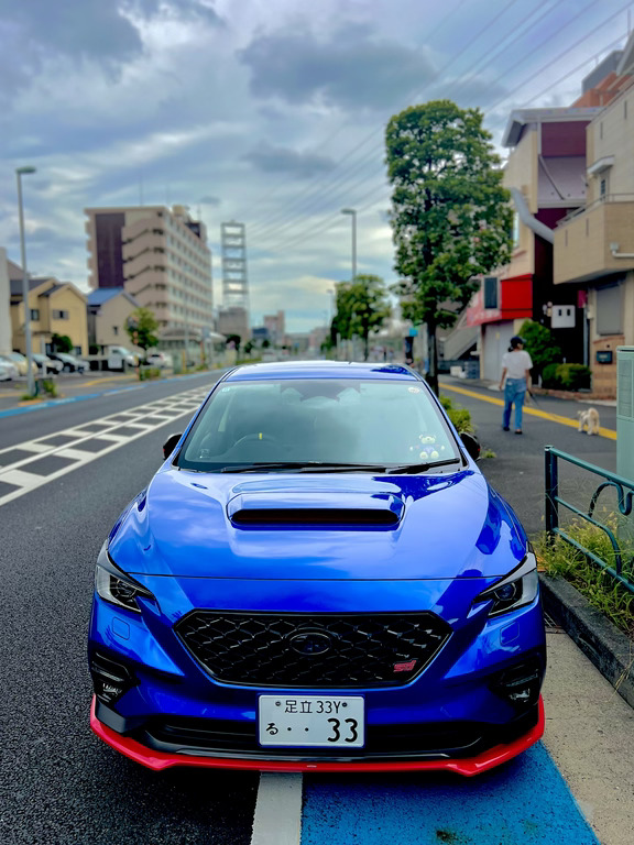 LEVORG