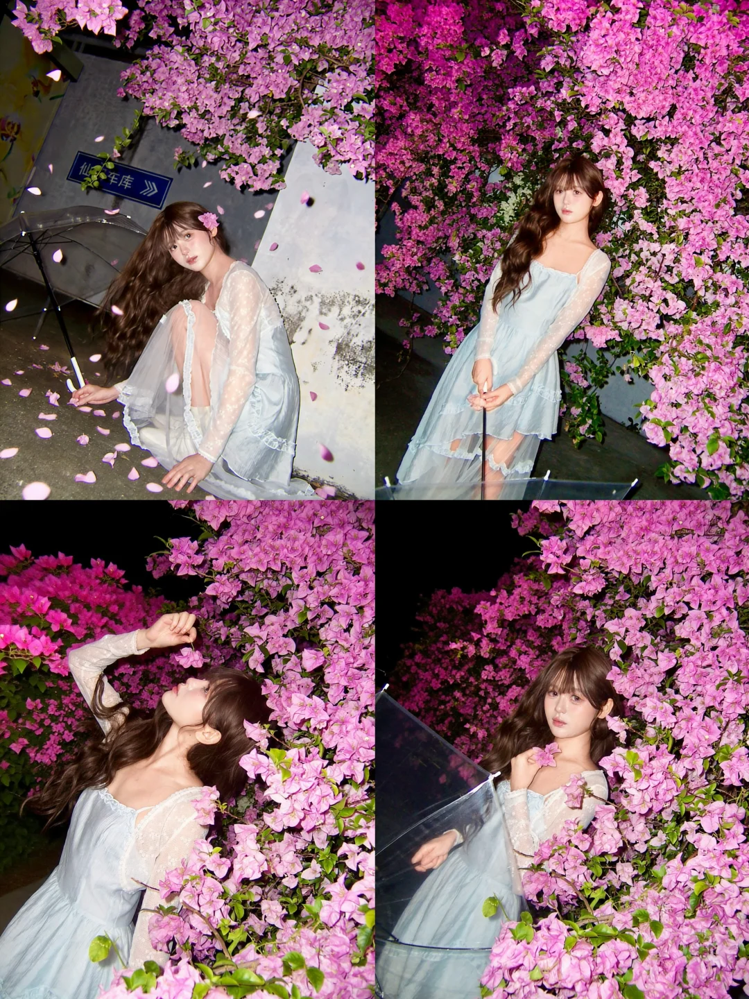 三角梅之恋｜Ccd三角梅花海夜景拍照姿势