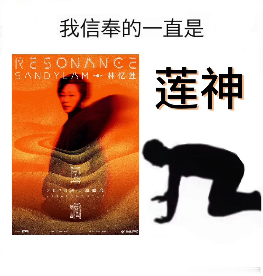 铁了心要孝莲莲 ​