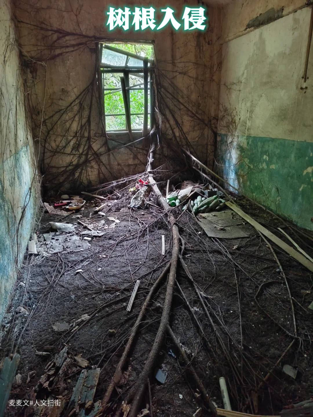 【北碚】树根与无人房间的荒芜对话