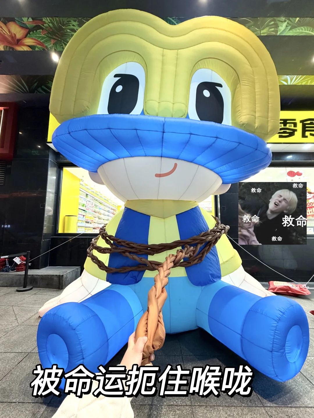 允许你绑架我！但不允许嘲笑