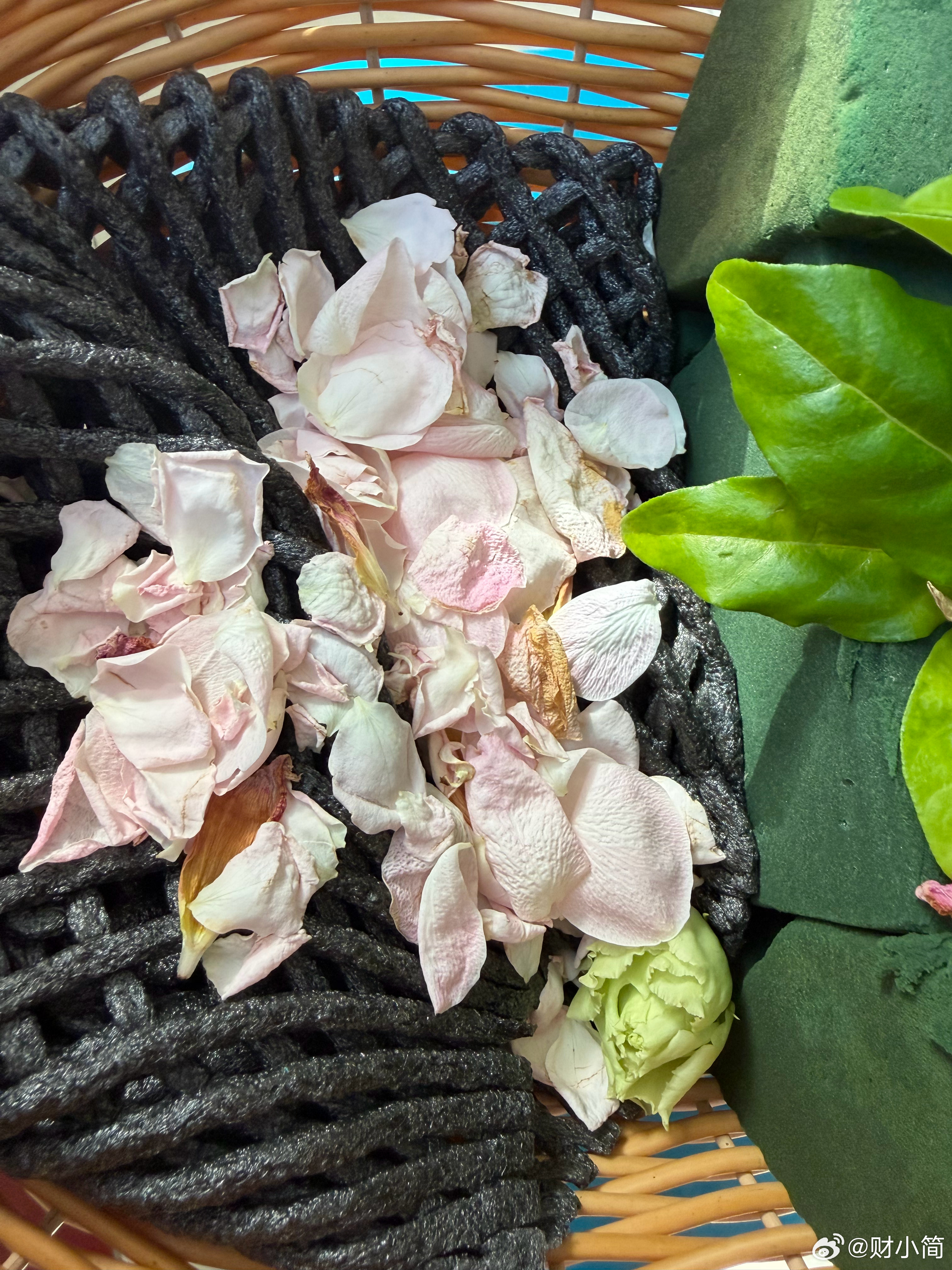 落花记
           ——送别敬大姐

敬一丹、水均益、崔永元、白岩松、撒贝宁……这些曾经很熟悉的央视主持人，早已成为我人生记忆的一部分。

刚刚看到消息，71岁的敬一丹因脑出血，历经三个月救治，最终还是离开了。我的心里一下子沉甸甸的。

我望向桌上的鲜花。短短数日，花朵慢慢凋零，花瓣发软、 ​