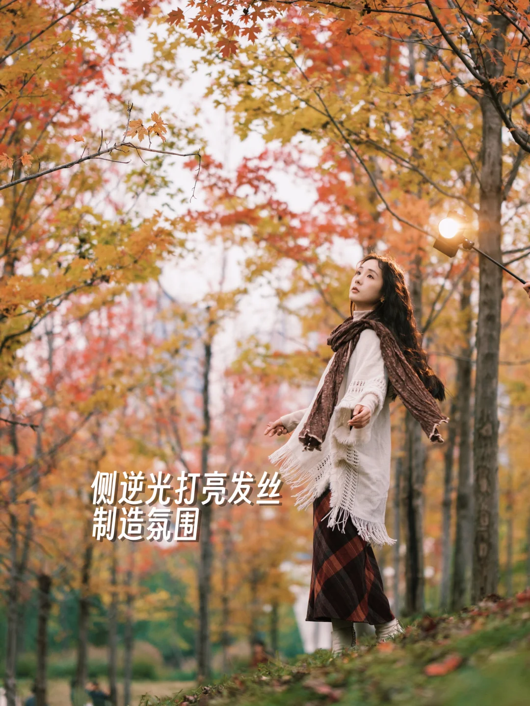 打光教程向🍁阴霾天拍出暖阳感枫叶人像