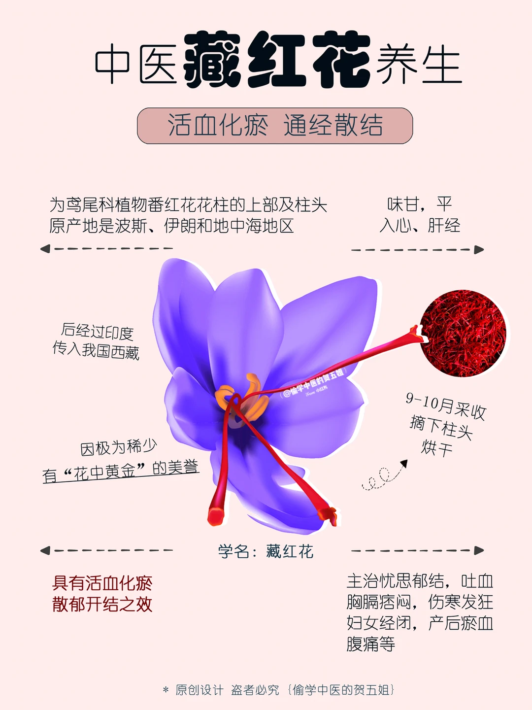 17养生课堂📝藏红花🌿活血化淤 通经散结