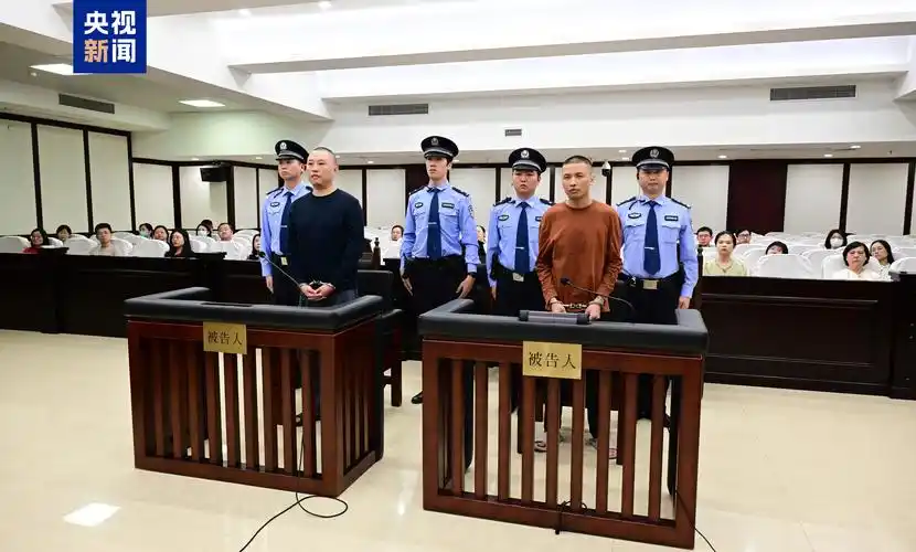 天网恢恢，报应从不缺席！谁又能料到，一个岁数不大便在长沙开着上百万路虎、频繁现身高端会所、衣着考究、谈吐文雅的青年，暗地里竟是缅北魏家犯罪集团的号核心人物？此人名叫廖景芳，生于1999年，籍贯湖南宁乡，赴缅北时年仅20岁。
 
有老乡在长沙碰到过他，问起做什么生意，他只轻描淡写说一句“在国外做事”。