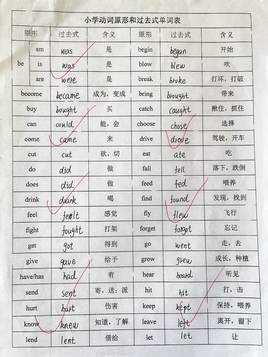 六年级下册英语✅动词原形和过去式单词表