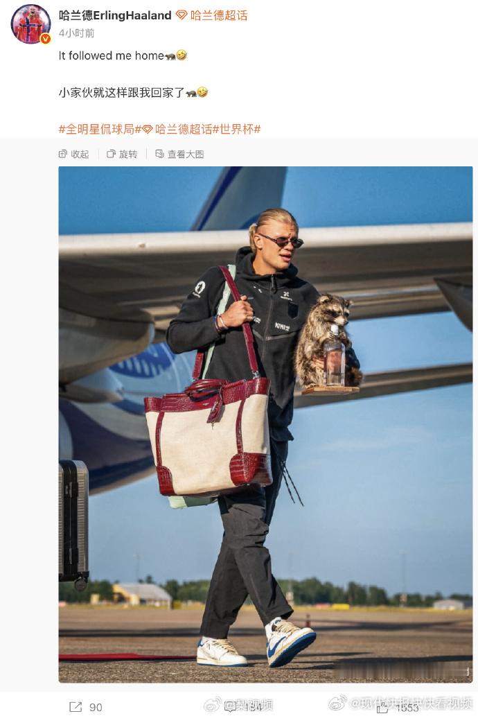 【 据报道，这是哈兰德在世界杯上带回的纪念品，浣熊两只爪子环抱着一只空...
