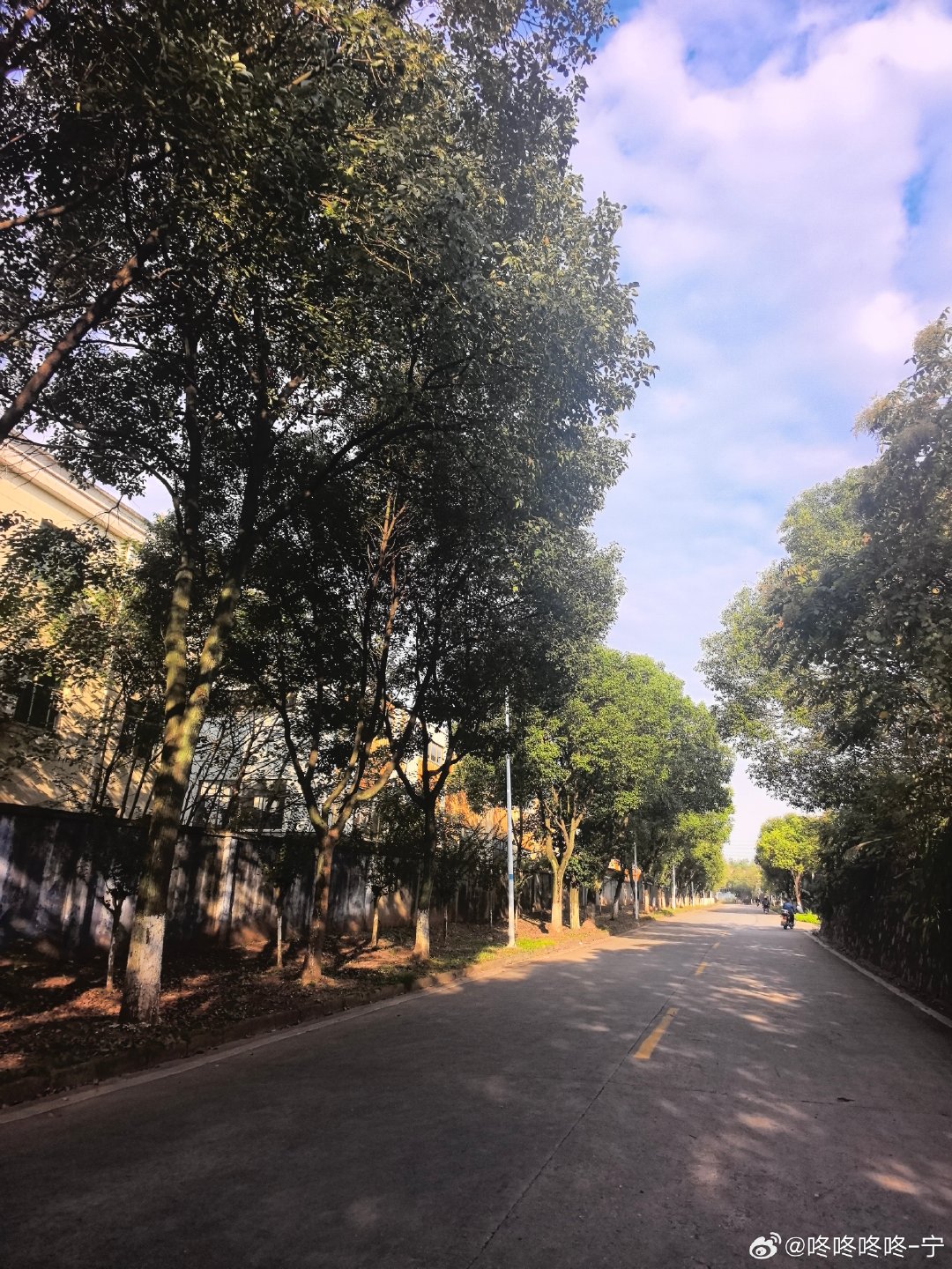 #网友质疑刘丁硕身份#  bs
刘丁硕直播暗讽低价课扰乱市场，张继科回怼段位不够。
这两个人直接在网上互相阴阳嘛？ ​