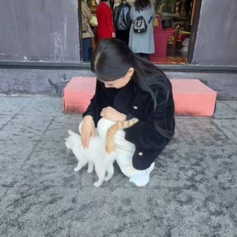 小红姐姐Z