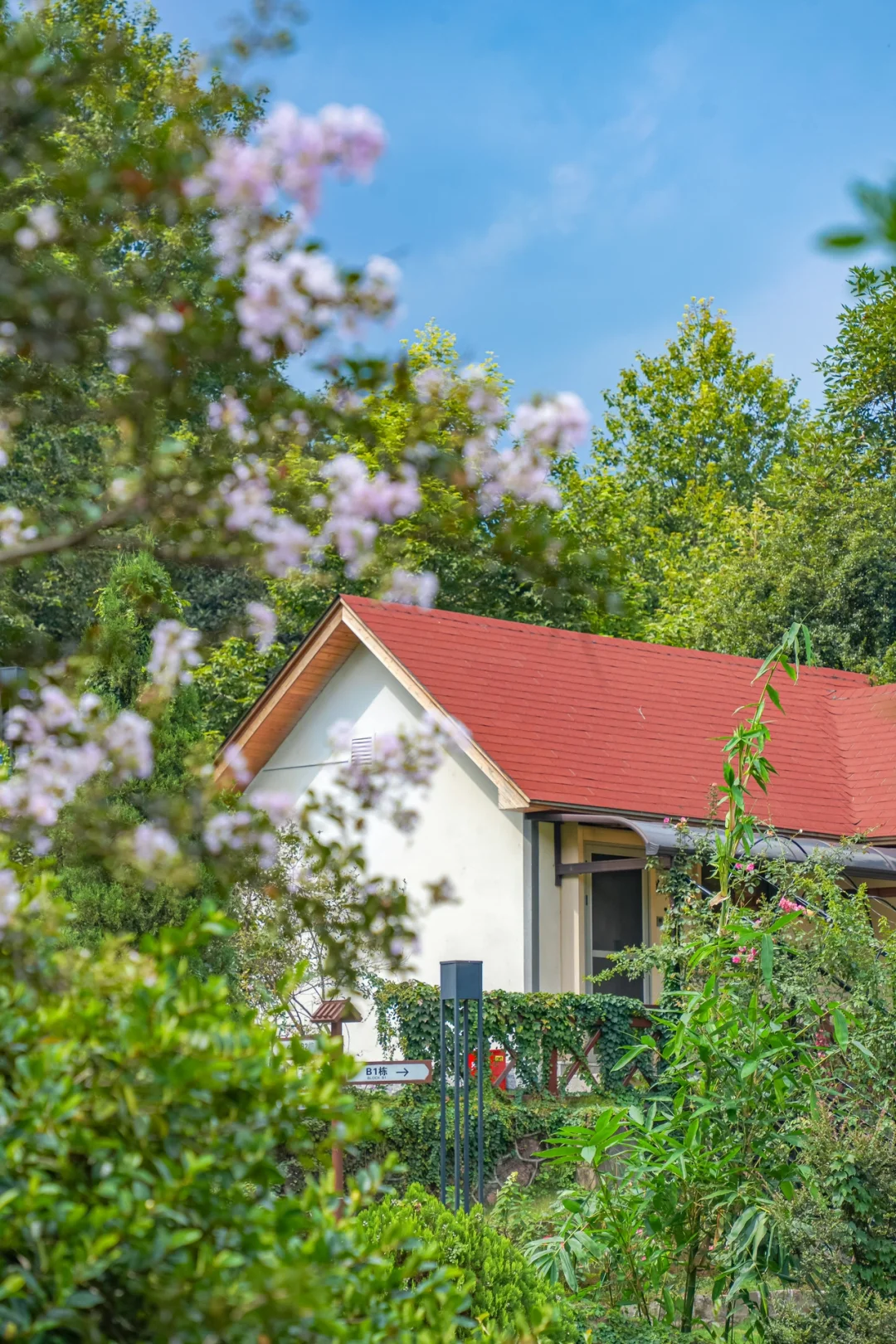 我姐妹太会选了！这个温泉酒店绝了！