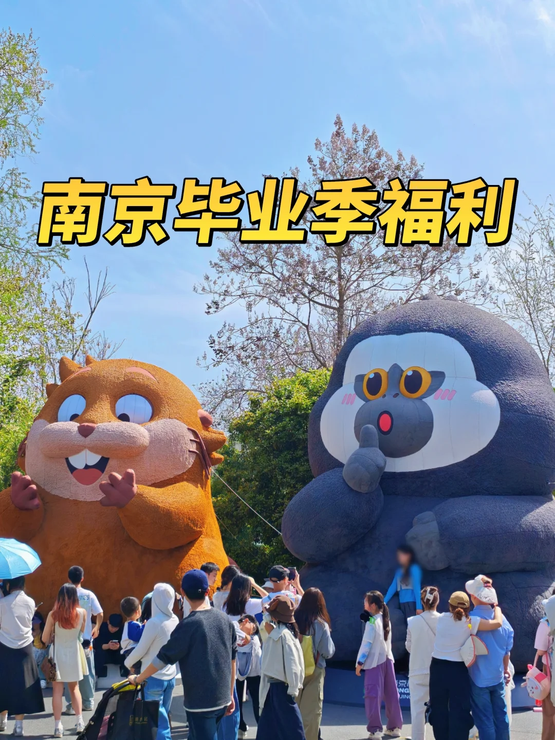 💥南京毕业季送福利！超多景区免费玩一年