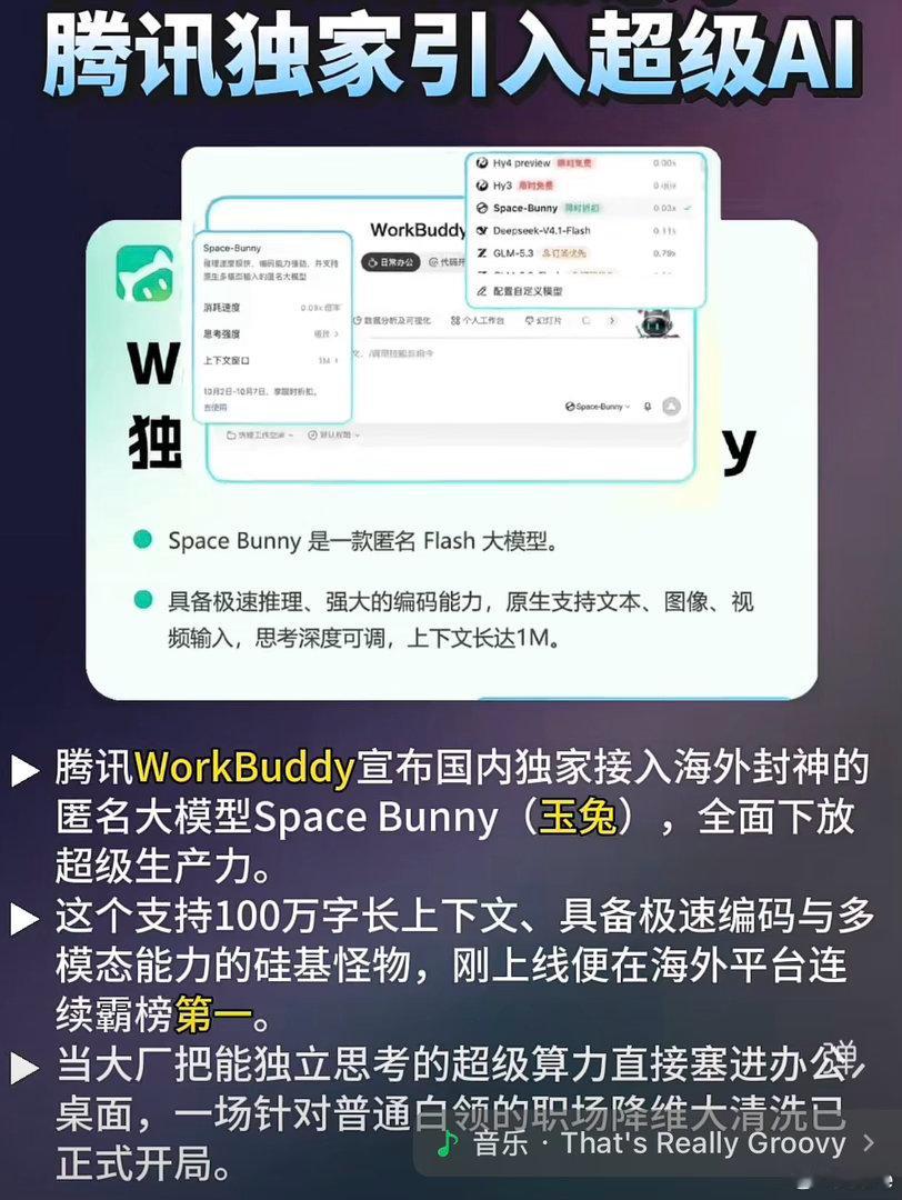 匿名模型，SpaceBunny来了 ​