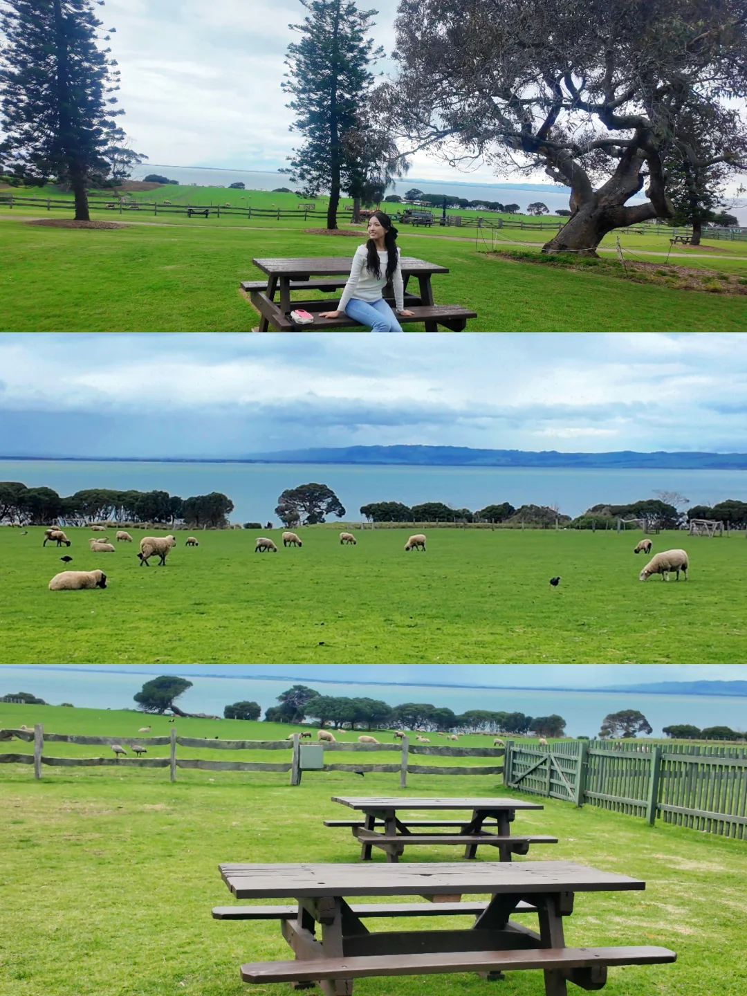 🇦🇺墨尔本周边游TOP1:童话风海边牧场