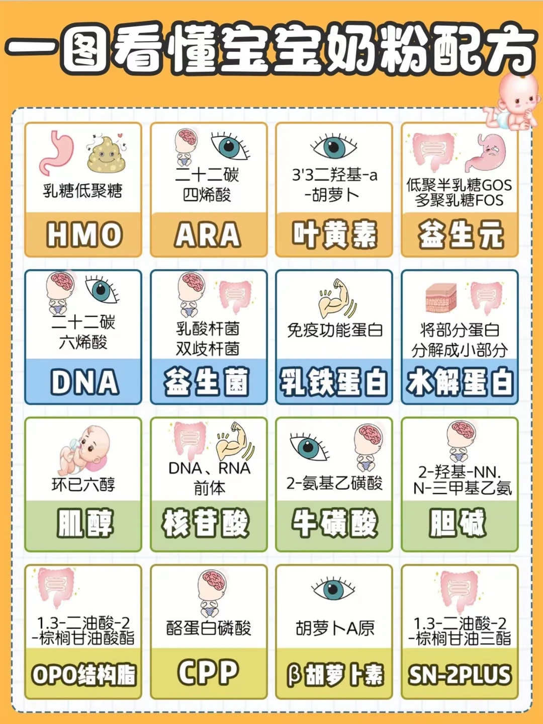 宝宝奶粉怎么选？手把手教你看懂奶粉配方