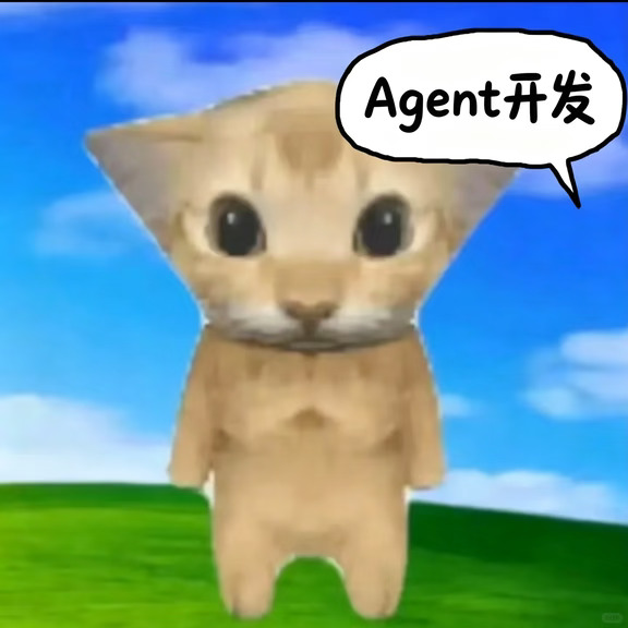 如果你没经验，可以说自己做过Agent开发