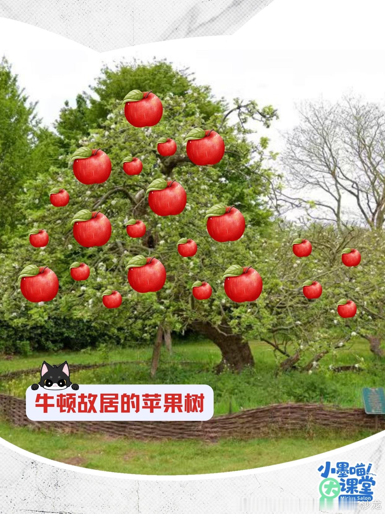 【#iphoneduo衍生机型##苹果# 】怎么办？2个苹果都好想要！

苹果这东西真有意思：一个成了手机界的顶流，一个成了科学史的传奇。最近这两个“苹果”都好想要，但 iPhone 新机抢不到，先放放，咱们聊聊牛顿那颗。

在人类历史中，苹果最大的贡献，大概就是砸了牛顿这一下。先不说苹果到底有没有砸到牛 ​