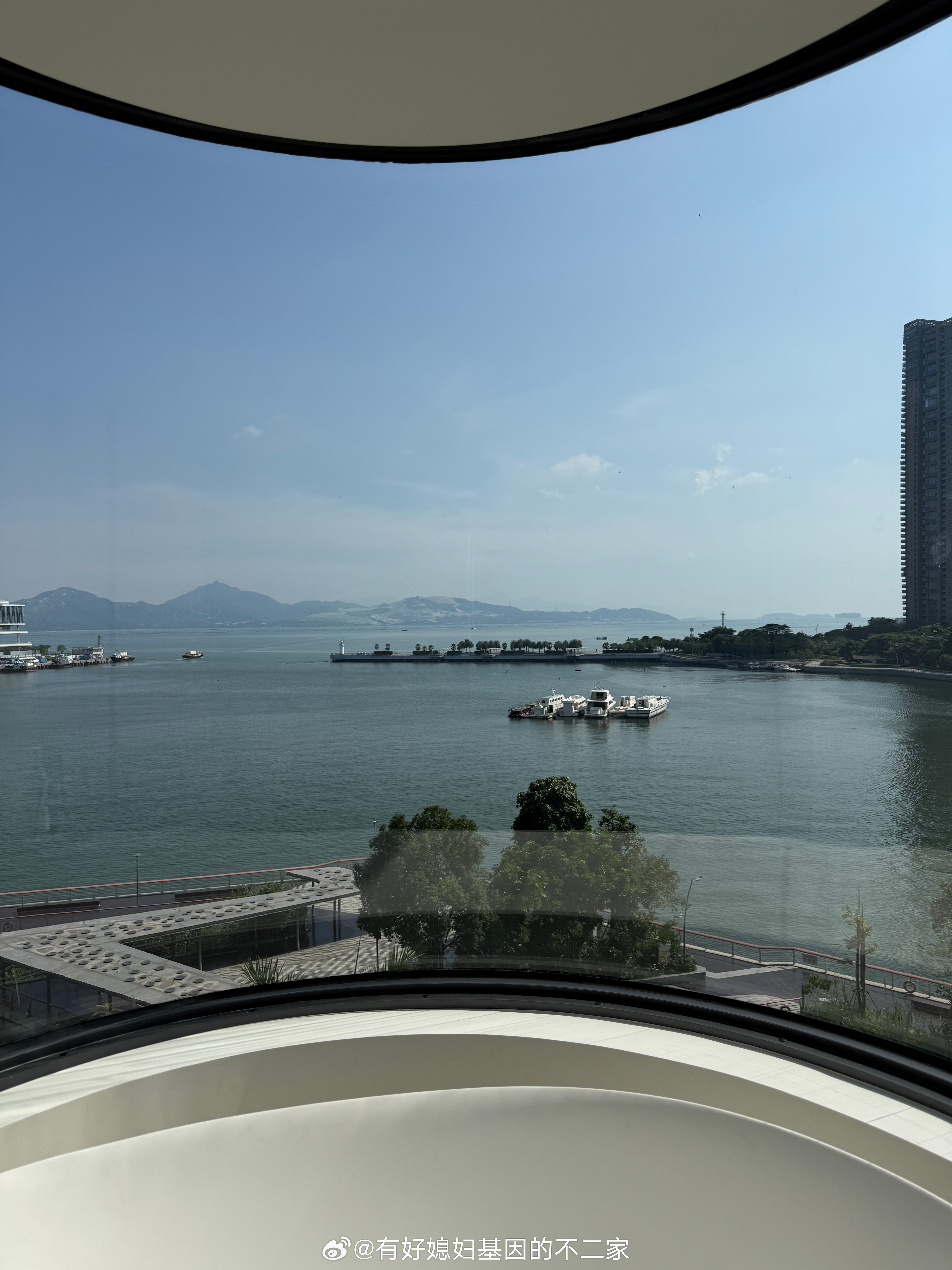 看了“甲醛白菜”的新闻之后，我重新想了一下家里买生鲜这件事。尤其是我以前的习惯：海鲜喜欢买活的。

我们家买生鲜，主要就是朴朴、山姆，偶尔盒马。以前买黑虎虾，我喜欢买活蹦乱跳的；买鱼，喜欢买现杀的，还能帮忙宰杀处理好，确实方便。

但最近想到我们之前团购的东西，挪威三文鱼、泰国榴莲， ​