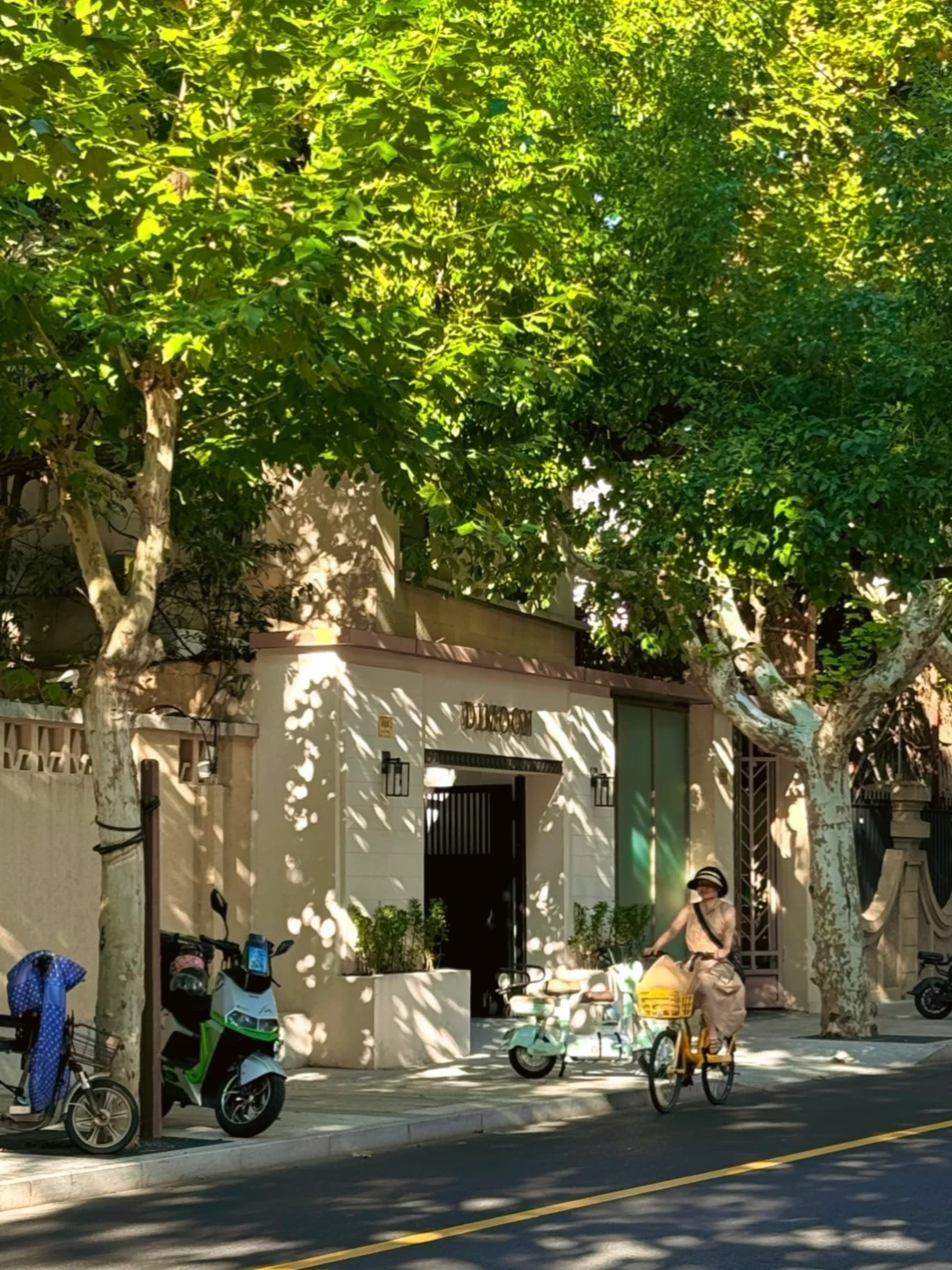 谁懂梧桐区骑行好像真的自带浪漫天赋啊