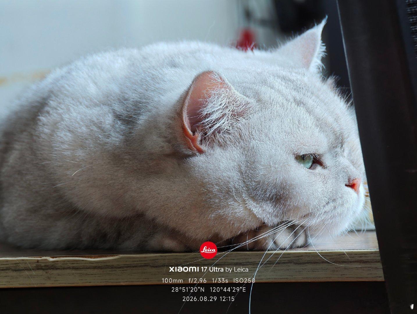 早上好，又是加班的一个周末。 ​