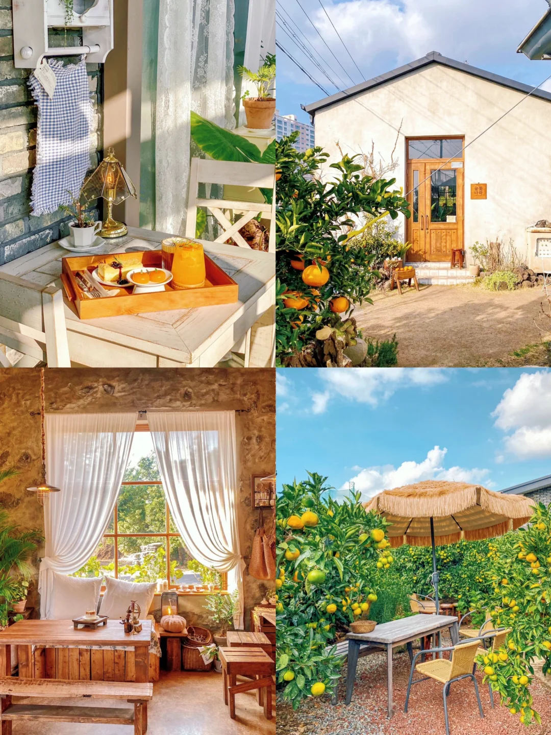 济州岛🏖7⃣️家值得一去的咖啡馆