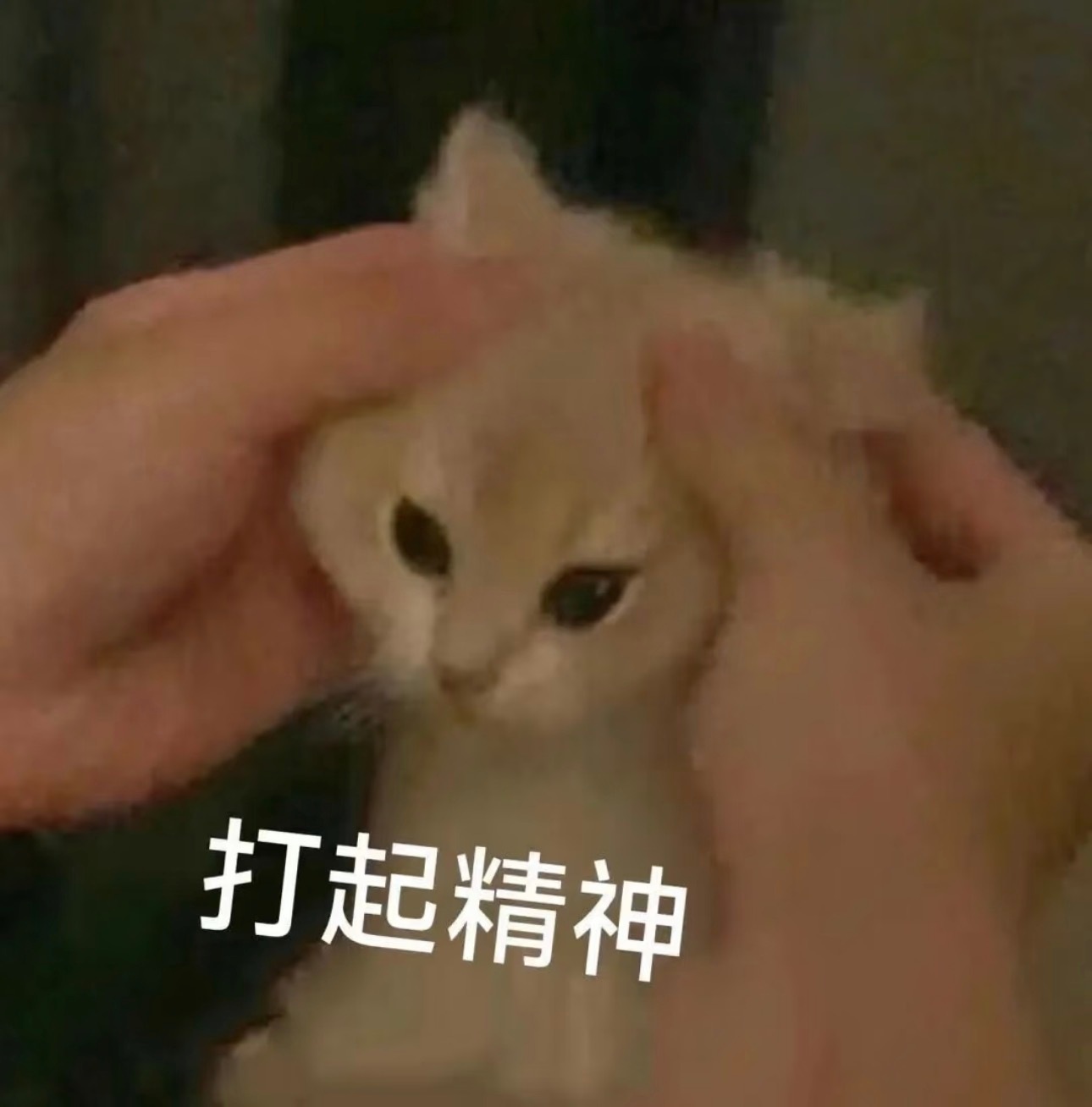 这会儿缩量2000亿了【缩量行情会出现两个现象】一个叫“快速轮动”，一个叫“题材行情”“快速轮动”好理解，昨天涨的今天都凉了【那什么是“题材行情”呢？】就是话题度高，但是行业基本面没有改善的东西比如昨天的传媒（题材是：首部AI长剧上了湖南卫视）比如今天的军工（题材是：十五五的军工预期改善）再比如咱们做的“粮食”其实也是题材行情【高速轮动+题材行情，最重要的是】涨了不要买，所以昨天传媒、粮食涨了千万不能追【但是回调后的主线和支线的方向还是值得关注的】主线：通信、半导体（科创50）支线：创新药、粮食啧，大家觉得今天是不是值得…搞点啥呢今日看盘股市a股上证指数 sh000001[股票] 上海