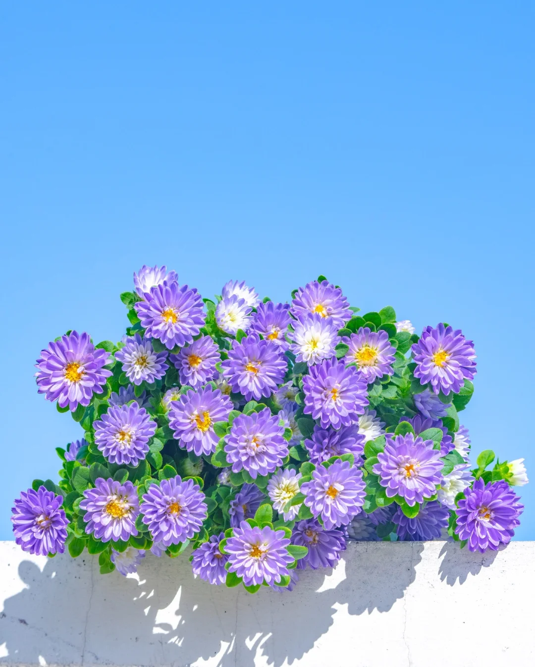 【摄影审美提升】-Musteries摄影作品解析