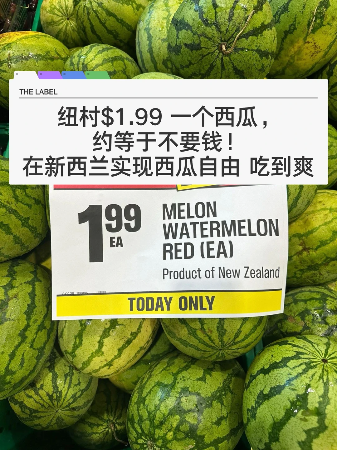 🇳🇿纽村黄超西瓜1.99/ea！这一天实现西瓜自