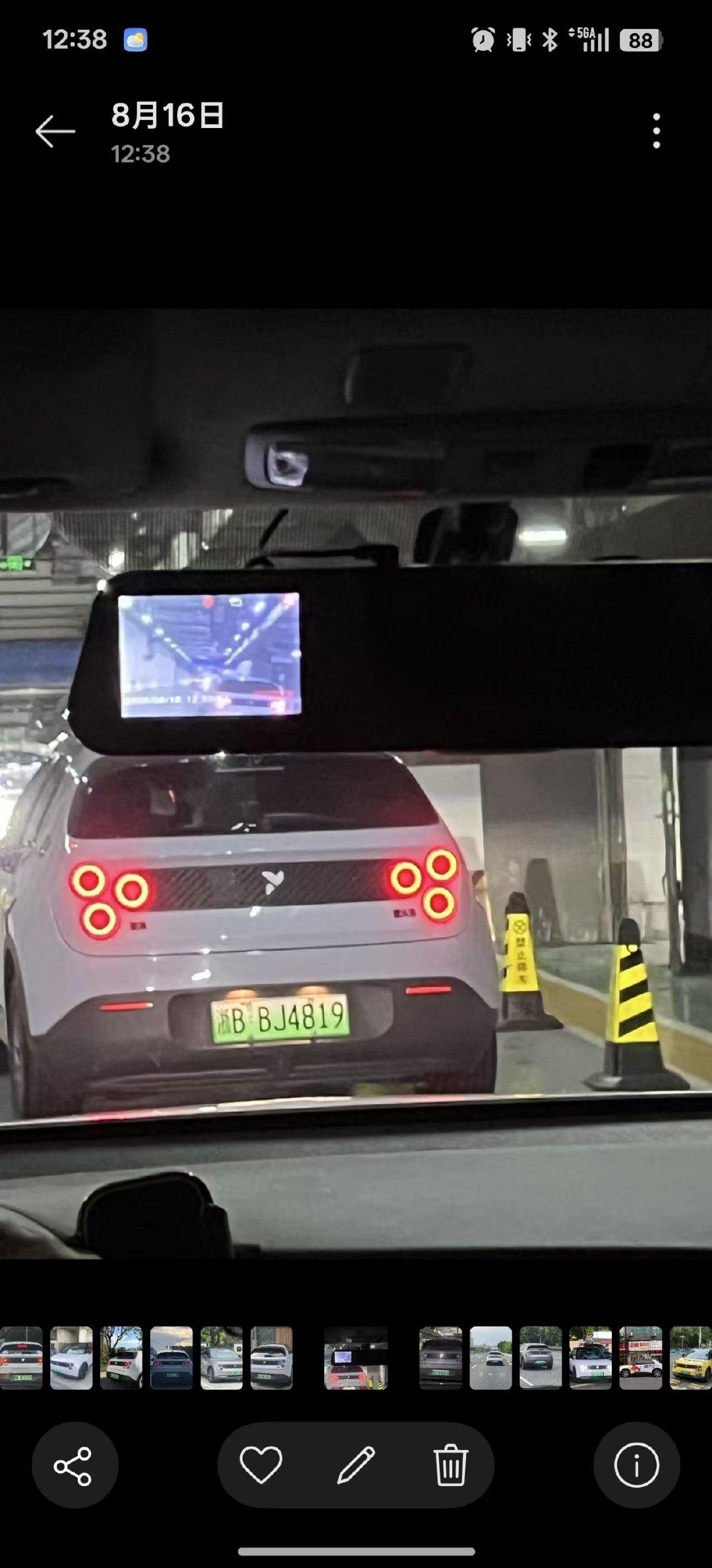 太好笑了，我们这个群每天抓虫子（萤火虫） ​