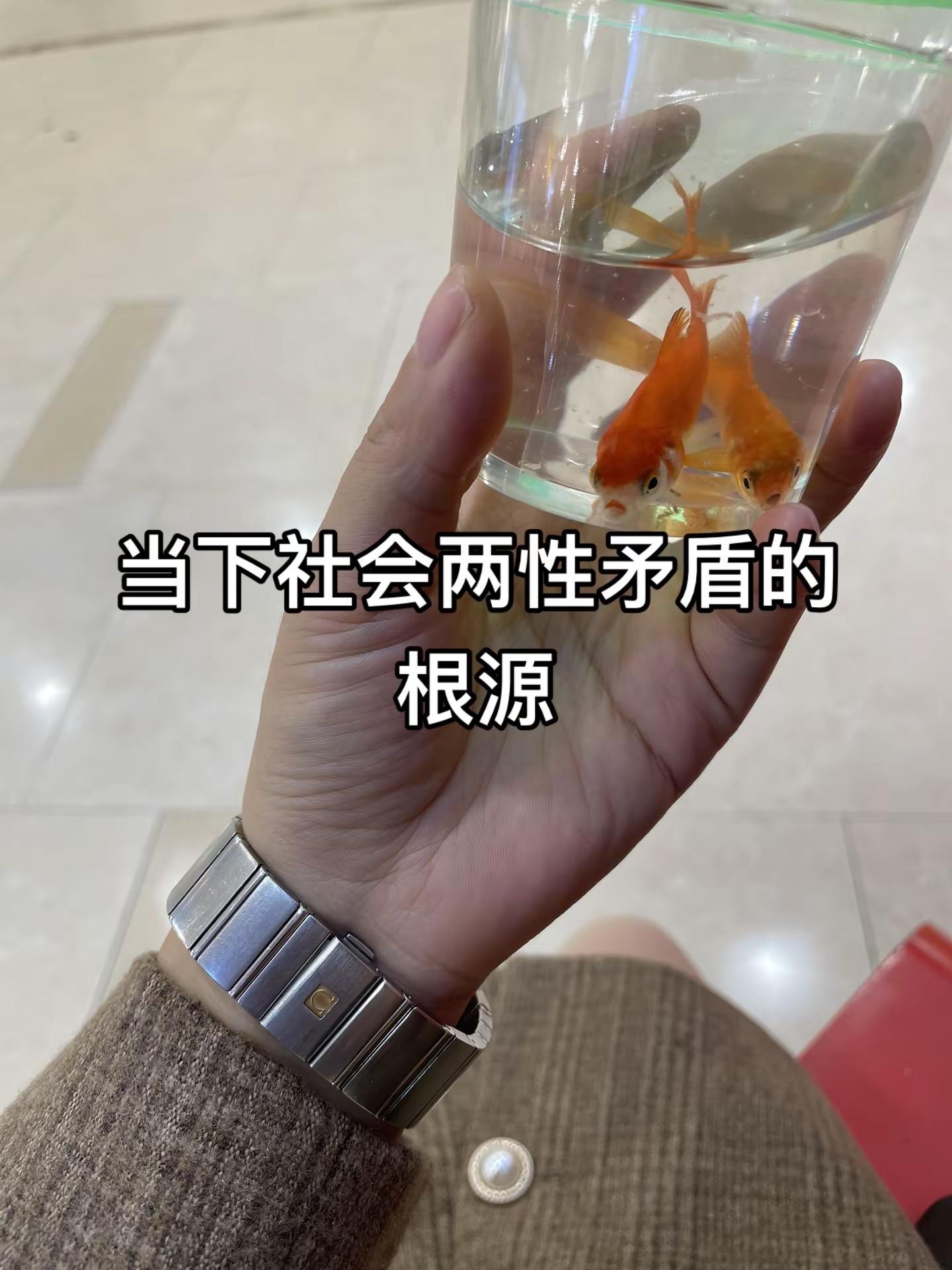 当下社会两性矛盾的根源