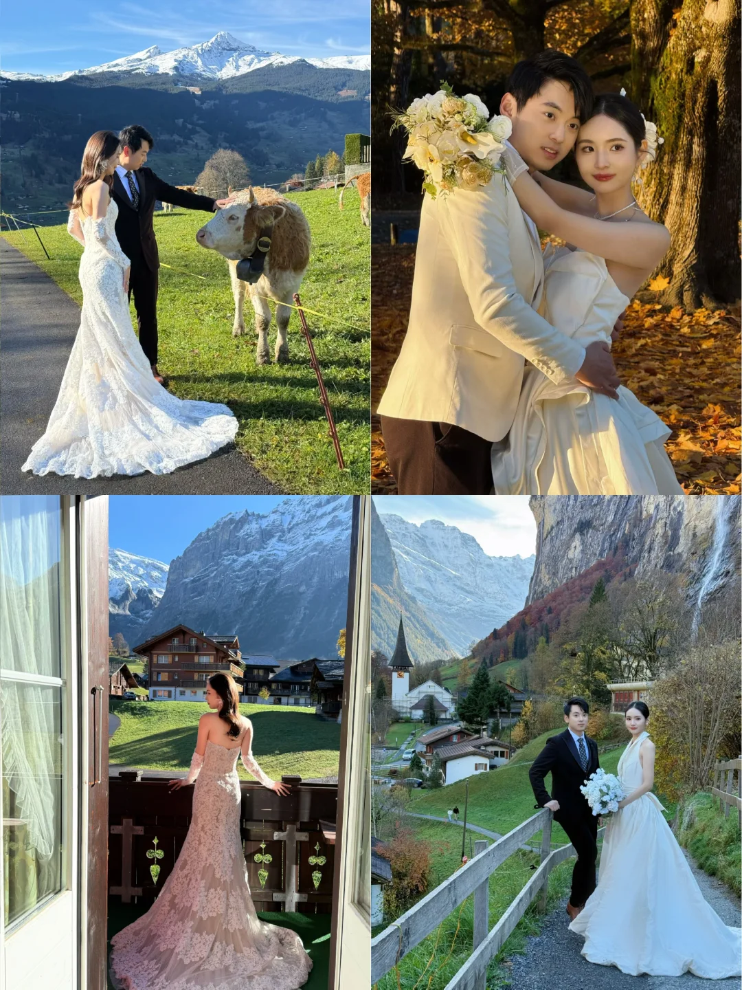 格林德瓦美如画