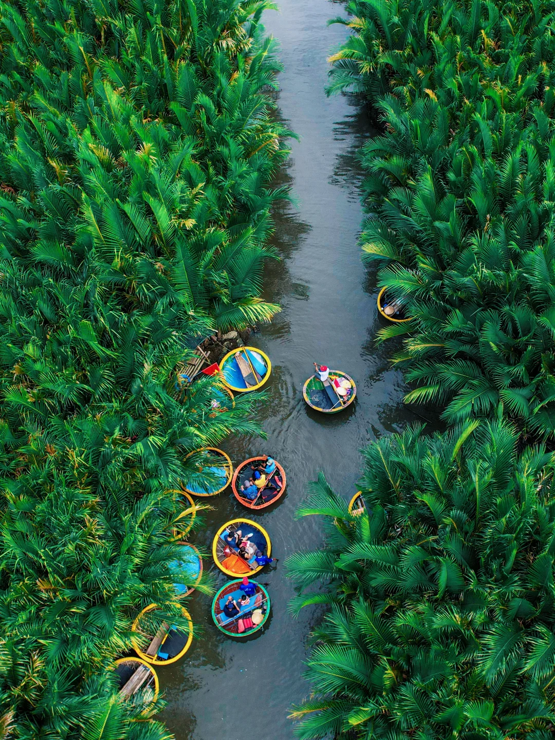 越南🇻🇳会安必玩❗坐椰子船超全攻略