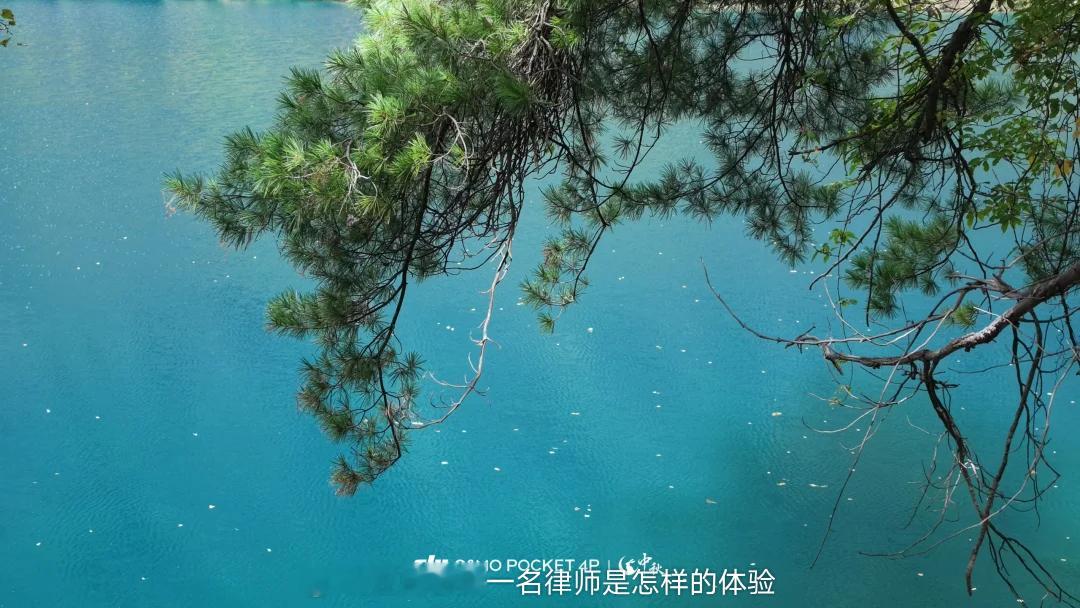 同事问：在涉及股东出资的案件中，未实缴出资的股东在未实缴出资范围内对公司债务承担清偿责任。后续公司进入破产程序，该股东出资的清偿行为发生在破产申请前六个月，是否涉及个别清偿？个人意见：作为公司的债权人起诉未实缴出资的股东，要求该股东在未实缴出资范围内对公司债务承担清偿责任，在不考虑债务人公司破产因素的情况下，参照“法答网精选答问（第九批）”之问题五的答疑意见，债权人以出资加速到期为由提起诉讼的，可以请求未履行出资义务股东直接清偿而无须采用入库规则；若新的司法解释另有规定，从其规定。同时，该答疑意见提到，“就公司个别债权人利益和整体债权人利益的平衡方面，在公司未进入破产程序的情况下，向个别债权人清偿，并不妨碍其他债权人申请公司破产，也不妨碍公司自身申请破产。一旦申请破产，未届出资缴纳期限的股东即应将其出资归入债务人财产，实现所有债权人公平清偿。”然在考虑债务人公司破产因素的情况下，由于一旦进入破产程序，股东的出资应当全部归入破产企业的破产财产，由全体债权人按照《企业破产法》规定的顺序...