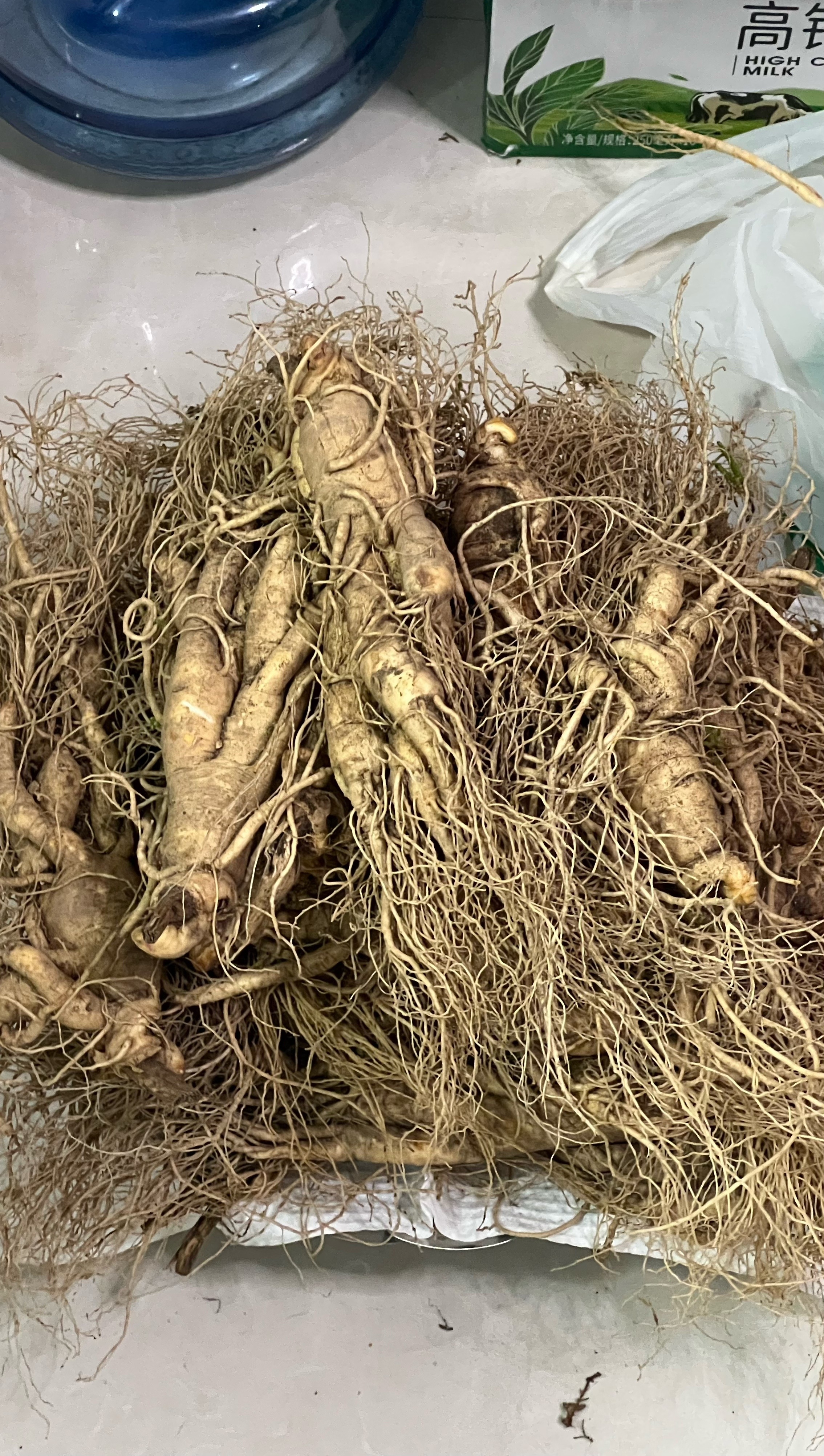 虽然最近很忙！但是doi实况不能少！这个是用大疆录的[舔屏]昨天看塔罗牌说这个月财运or偏财运会比较好馒头最近在努力挣钱！我恋爱恋爱[超话]plog ​​​