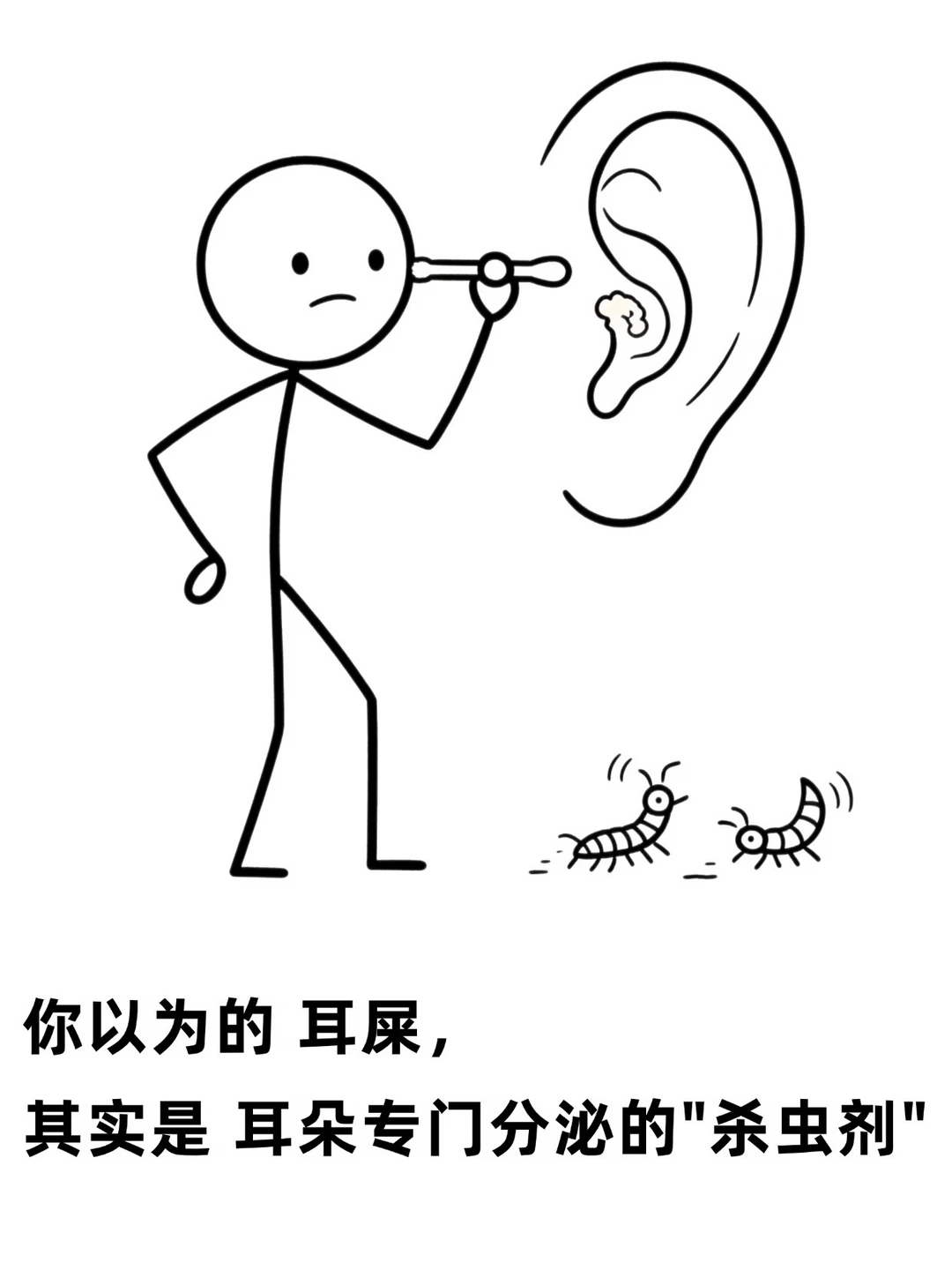你以为的耳屎，其实是耳朵专门分泌的杀虫剂