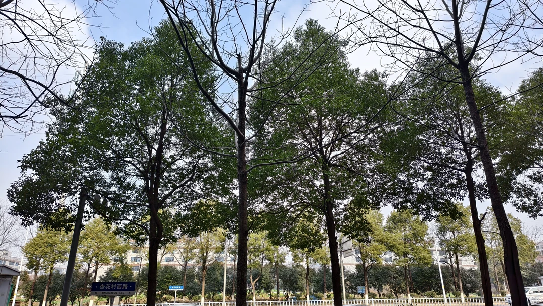 与大自然同频共振